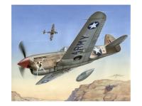 SH72155 Special Hobby Истребитель P-40F Warhawk "Short Tails over Africa" (1:72)