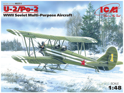 ICM 48251 -1