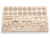 B12904-7