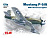 ICM 48161-1