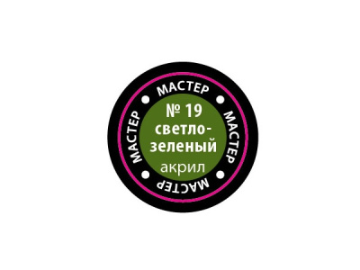 19 19