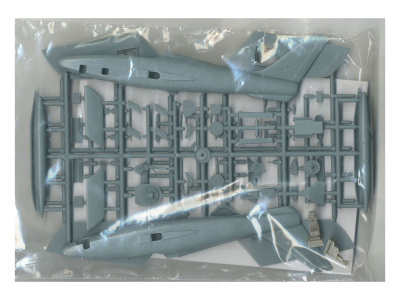 SW72117 6
