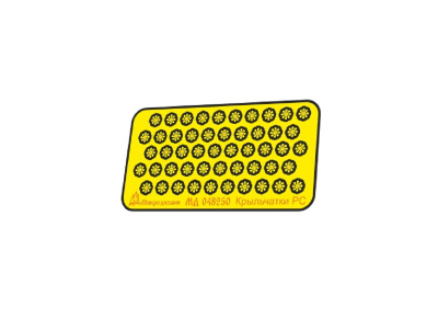 048250