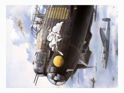 BF-008-8 BF-008-8