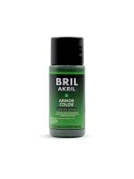 Краска акриловая BRIL Armor Color Защитный зелёный, 15 мл.