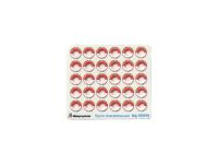 200209 Фототравление Микродизайн Круги спасательный РИФ/СССР цветные (1:200)