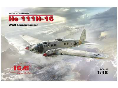 ICM 48263 -1