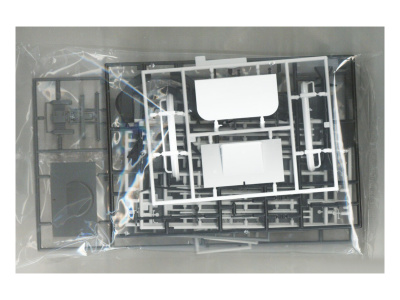 H-20556 5