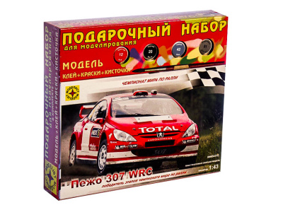 Моделист ПН604310-1