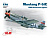 ICM 48121-1