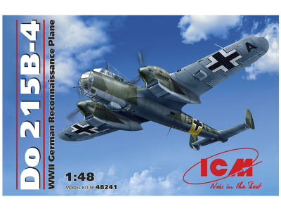 ICM 48241 -1