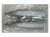 6002 5 6002 5